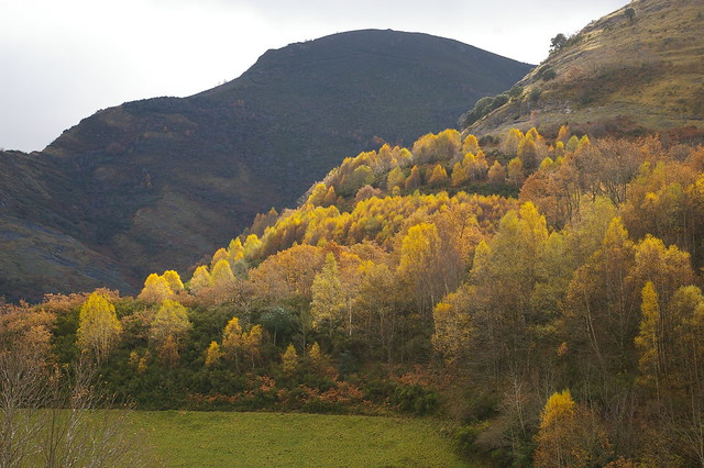 12 lugares curiosos de Galicia que tal vez desconocías 3286111224_05f76df490_z