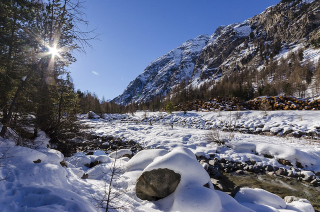 USCITA FOTOGRAFICA trenino rosso del Bernina - Pagina 2 11425994284_e271b62d6c_z