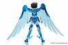 [Imagens] Saint Seiya Cloth Myth - Seiya Kamui 10th Anniversary Edition 10064686945_c126d64879_t