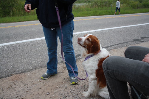 Bode goes to Sleeping Bear Sand Dunes! (lots of pics) 9023394589_9059572e72