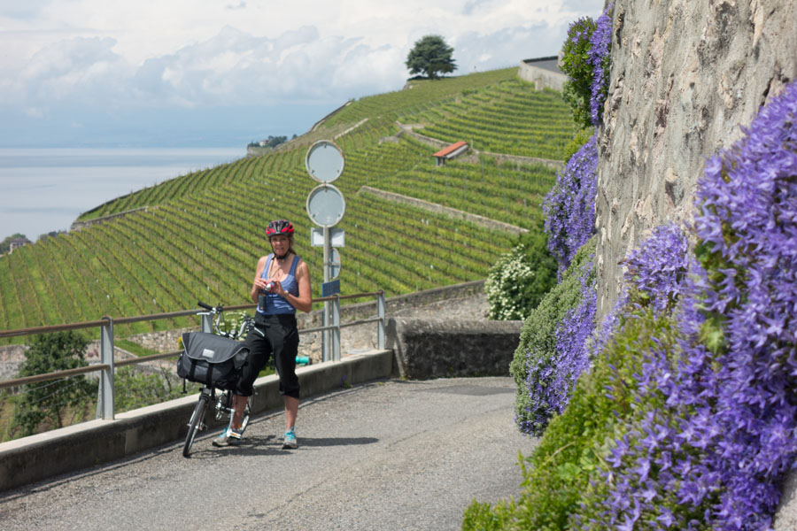 tour du leman - Tour du Léman [8 au 10 juin] saison 8 •Bƒ  - Page 12 9170259432_f534d65217_o