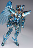 [Imagens] Saint Seiya Cloth Myth - Seiya Kamui 10th Anniversary Edition 10135101705_b02efc9fc5_t