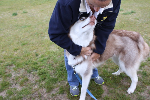 Bode goes to Sleeping Bear Sand Dunes! (lots of pics) 9025554714_33c299f77f