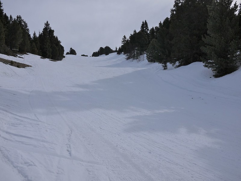 Schuss des Dames (Chamrousse) 10007242246_531d075921_c