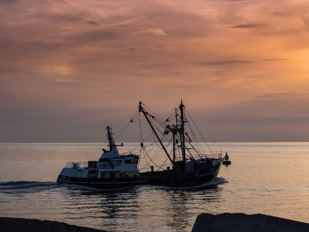 Ostende, en soirée 9640668413_58090e4659_o