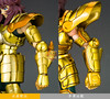 [Imagens] Saint Cloth Myth EX Dokho de Libra  10695302024_52f2155ec8_t