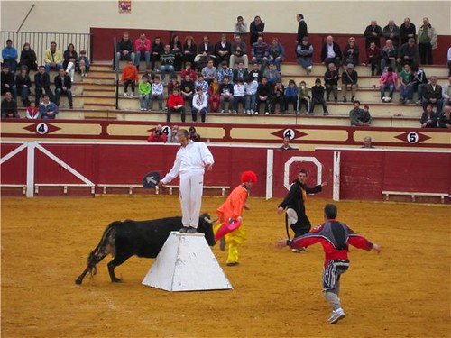 Lodosa (Navarra) 21-03-2010 ganaderia Jose Antonio Baigorri "El Pincha" (Lodosa, Navarra) 4499642149_ccc5c5de22