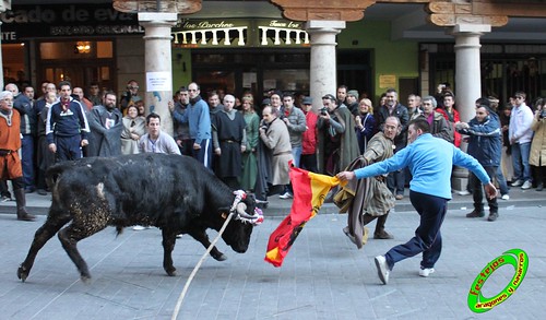 Toros ensogados (Teruel) 4379846190_4ddd6b4b61