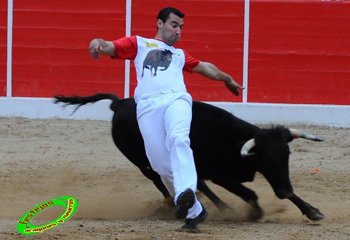 Concurso de cortes de Ricla ganaderia Ana Corera (Larraga, Navarra) 4641661123_71b87f85e3