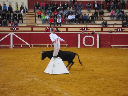 Lodosa (Navarra) 21-03-2010 ganaderia Jose Antonio Baigorri "El Pincha" (Lodosa, Navarra) 4499642675_26af308f31