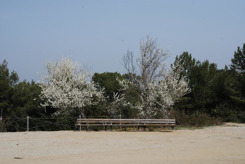 Post para las fotografías 'Lugares donde esconderse'. 4675608339_939c324b6f