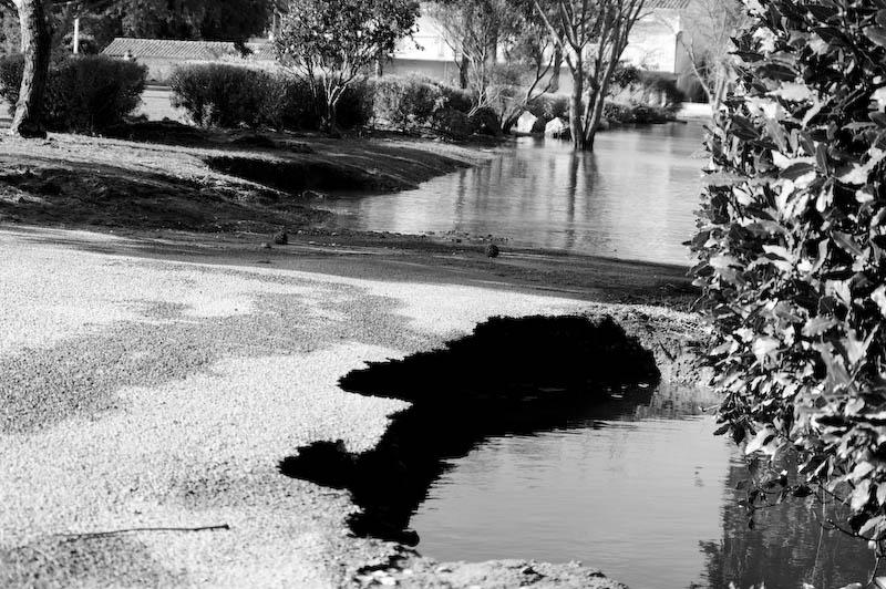 Tempête du 28/02/2010 sur Oléron 4399680256_bf98cbd455_o