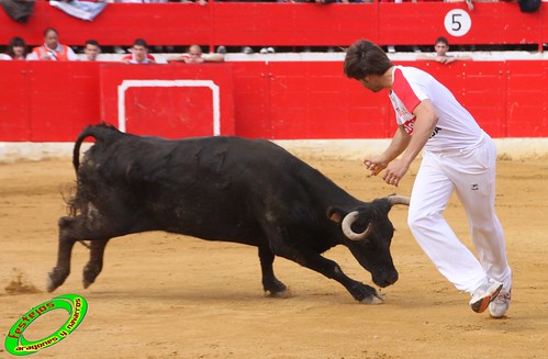 Alfaro (La Rioja)  16 de mayo Concurso de recortadores con anillas, ganaderia Jose Arriazu e Hijos (Ablitas, Navarra) 4638660419_e3e1d62612