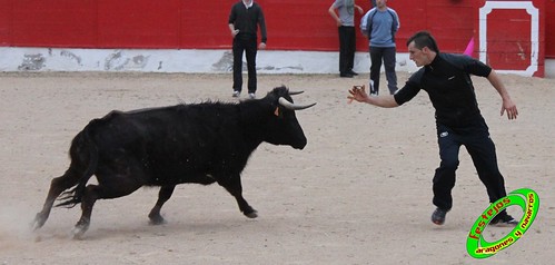 Corella (Navarra) 16-04-2010 Jose Antonio Baigorri "El Pincha" (Lodosa, Navarra) 4535513218_6128dc6c51