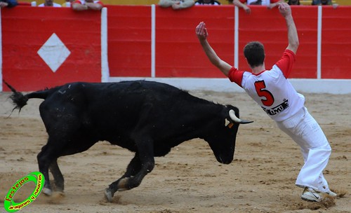 Concurso de cortes de Ricla ganaderia Ana Corera (Larraga, Navarra) 4642219858_1f3e5d0951