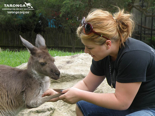 Kelly au Zoo TARONGA, Sydney - 15 Avril 2010 4524305097_772fbf2d4d