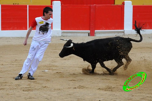 Concurso de cortes de Ricla ganaderia Ana Corera (Larraga, Navarra) 4641689199_d12566e2c4