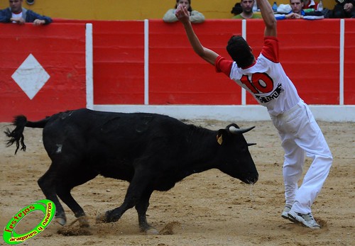 Concurso de cortes de Ricla ganaderia Ana Corera (Larraga, Navarra) 4642234270_247cf784ea