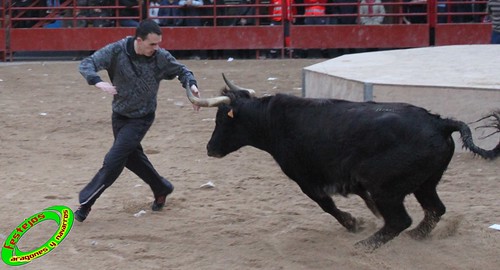 Illueca (Zaragoza) 22-01-2009 ganaderia Julio Ortega "El Ruiseñor" (Frescano, Zaragoza) 4306514119_af79296b4a