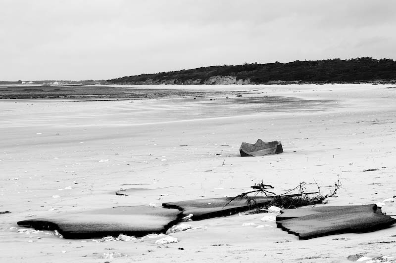 Tempête du 28/02/2010 sur Oléron 4399629256_c708122928_o