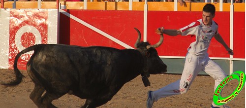 Concurso recortadores de Tauste 24-04-2010 ganaderias Jose Antonio Murillo Romeo y Francisco Murillo Conde (Tauste, Zaragoza) 4581366385_be77c358db