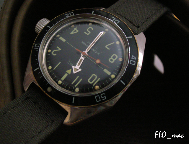  - Feu de vos Vostok Amphibia 4189452087_8e072fa89f_o