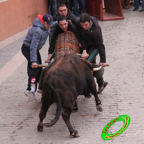 Cariñena (Zaragoza) 30-01-2010 ganaderia Jesus Marcen (Villanueva de Gallego) 4328361678_ef978d2495