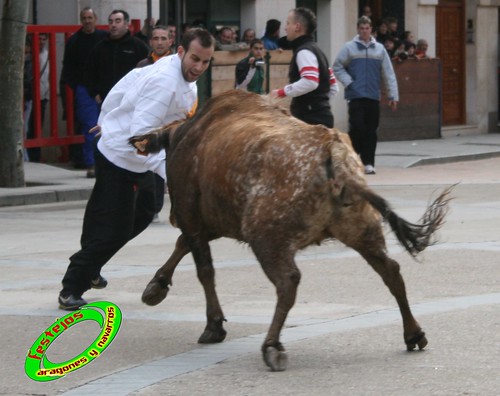 Aldeanueva de Ebro (La Rioja) 5-01-2010 Ganaderia Eulogio Mateo (Carcar, Navarra) 4269775972_244a3cc1e7