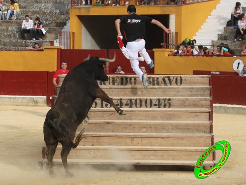 Alagon (Zaragoza) 11-6-2010 desafio de ganaderia entre Jose Luis Cuartero (Pradilla de Ebro, Zaragoza) y Jose Arriazu e Hijos (Ablitas, Navarra) 4709262798_43e966645e