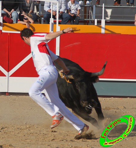 Concurso recortadores de Tauste 24-04-2010 ganaderias Jose Antonio Murillo Romeo y Francisco Murillo Conde (Tauste, Zaragoza) 4584517912_b9151a95ca