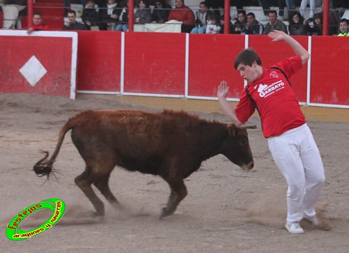 Fitero (Navarra) 12-03-2010 Ganaderia Merino (Marcilla, Navarra) 4441288260_7e03f02058