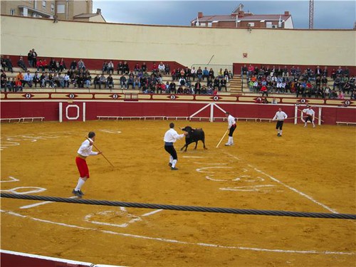 Lodosa (Navarra) 21-03-2010 ganaderia Jose Antonio Baigorri "El Pincha" (Lodosa, Navarra) 4500272372_579fb3bf1c