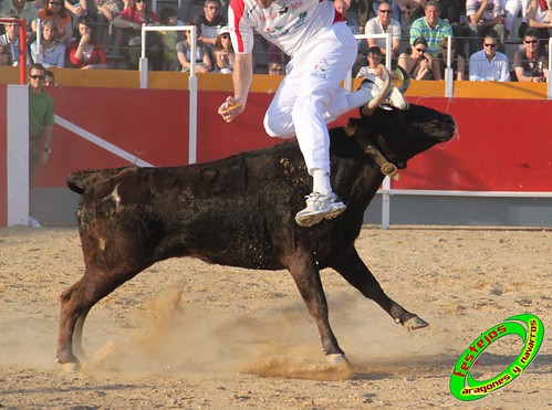 Concurso recortadores de Tauste 24-04-2010 ganaderias Jose Antonio Murillo Romeo y Francisco Murillo Conde (Tauste, Zaragoza) 4581337147_5c5fd76af1