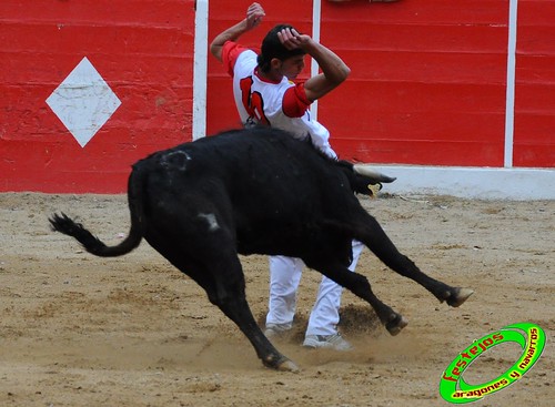 Concurso de cortes de Ricla ganaderia Ana Corera (Larraga, Navarra) 4642227814_3c03e65006