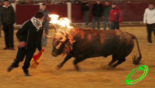 Toro Júbilo. Ganadería Adolfo Martín (Miajadas, Cáceres) y vacas de Hnos. Orero Lecris (Barracas, Castellon) 4383125660_4a114a7999