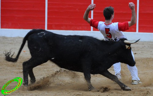 Concurso de cortes de Ricla ganaderia Ana Corera (Larraga, Navarra) 4641662419_9587719cce