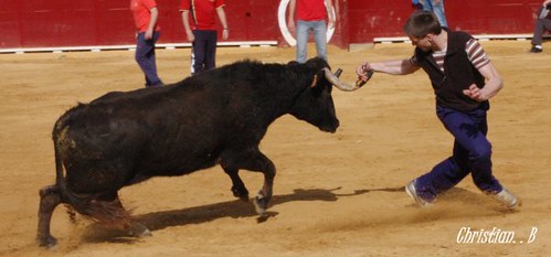 Teruel 6-4-2010 ganaderia Pedro Fumado "El Charnego" (Deltebre, Tarragona) 4514267037_5ee4b8117c