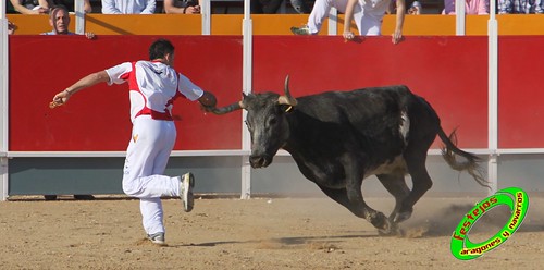 Concurso recortadores de Tauste 24-04-2010 ganaderias Jose Antonio Murillo Romeo y Francisco Murillo Conde (Tauste, Zaragoza) 4581374493_2797bb0237