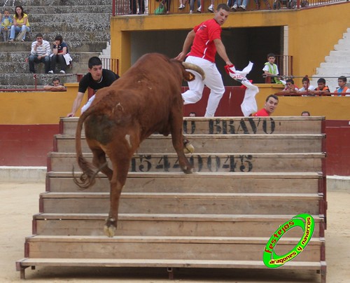 Alagon (Zaragoza) 11-6-2010 desafio de ganaderia entre Jose Luis Cuartero (Pradilla de Ebro, Zaragoza) y Jose Arriazu e Hijos (Ablitas, Navarra) 4708630841_555d40492c