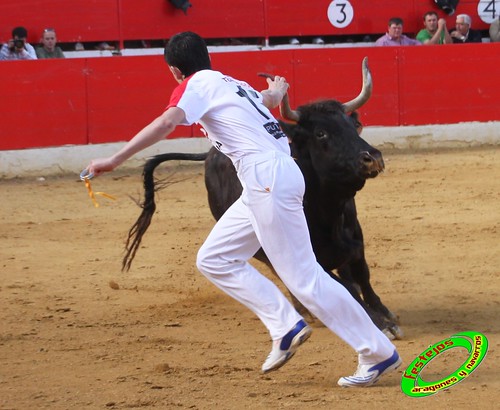 Alfaro (La Rioja)  16 de mayo Concurso de recortadores con anillas, ganaderia Jose Arriazu e Hijos (Ablitas, Navarra) 4639270940_b7b2850de6