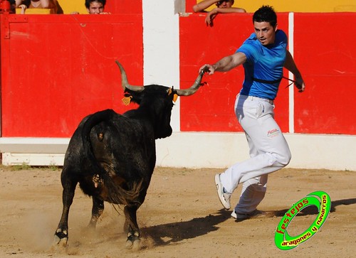 Concurso de recortadores con anillas de Ricla (Zaragoza) ganaderia Hnos. Vela (Mallen, Zaragoza) 4653951356_dfc6eb753f