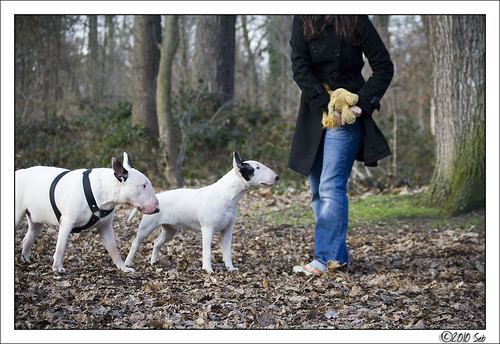 Vincennes le 20/02/2010 4373909252_d476dece07