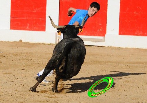 Concurso de recortadores con anillas de Ricla (Zaragoza) ganaderia Hnos. Vela (Mallen, Zaragoza) 4653942234_1fb87df1e0