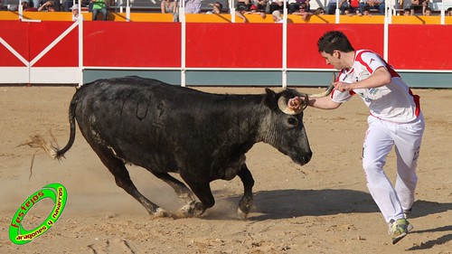 Concurso recortadores de Tauste 24-04-2010 ganaderias Jose Antonio Murillo Romeo y Francisco Murillo Conde (Tauste, Zaragoza) 4581376847_77f47cd2e1