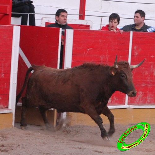 Fitero (Navarra) 12-03-2010 Ganaderia Merino (Marcilla, Navarra) 4441332320_255d2de45b