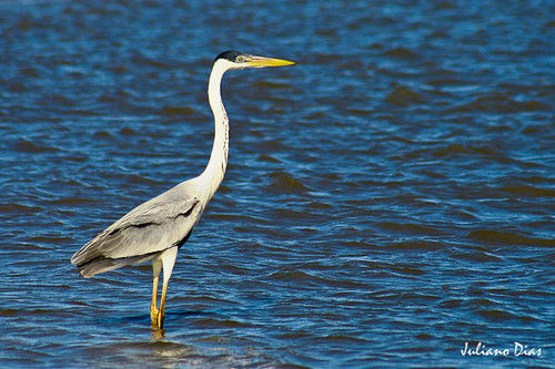 Parque Nacional da Lagoa do Peixe