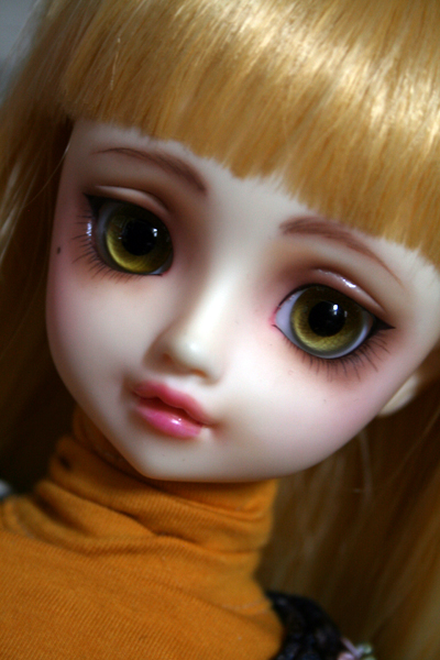 [VOLKS] Suiseiseki / Souseiseki 4615329390_05b3faf66e_o