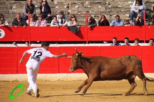 Alfaro (La Rioja)  16 de mayo Concurso de recortadores con anillas, ganaderia Jose Arriazu e Hijos (Ablitas, Navarra) 4638640981_c3bb701668