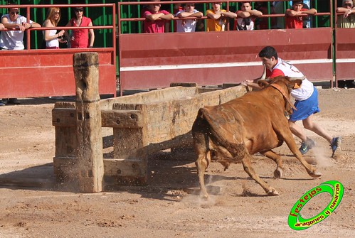 Mores (Zaragoza)  29-05-2010 desafio de ganaderias Hnos Joven (La Almunia, Zaragoza) Francisco Murillo Conde (Tauste, Zaragoza) Julio Ortega "Ruiseñor" (Frescano, Zaragoza) Jose Antonio Murillo Romeo (Tauste, Zaragoza) 4663597587_19b58f77f4