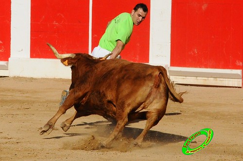 Concurso de recortadores con anillas de Ricla (Zaragoza) ganaderia Hnos. Vela (Mallen, Zaragoza) 4653371969_f5b0be7288